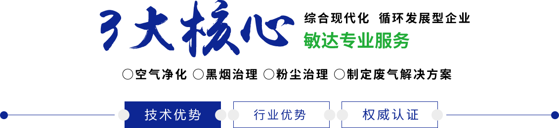 日逼性交敏达环保科技（嘉兴）有限公司